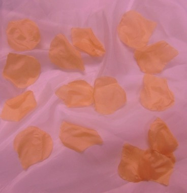 rózsaszirom bordás, barack(kb.100db/cs)-085J