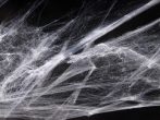 pókháló műanyag pókkal 60 gr-s fehér