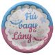 Fiú vagy lány papírtányér, - 8 db (23 cm)